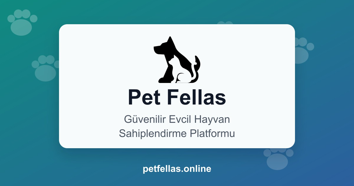 PET FELLAS LOGO